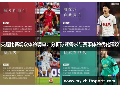 英超比赛观众体验调查：分析球迷需求与赛事体验优化建议
