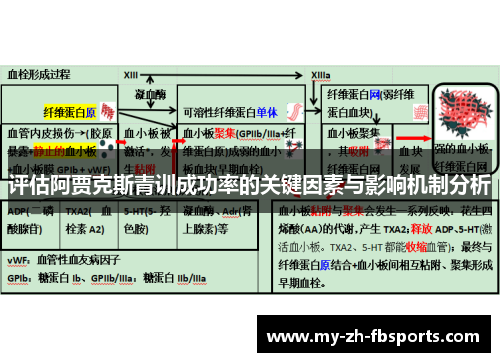 评估阿贾克斯青训成功率的关键因素与影响机制分析 评估阿贾克斯青训成功率的关键因素与影响机制分析